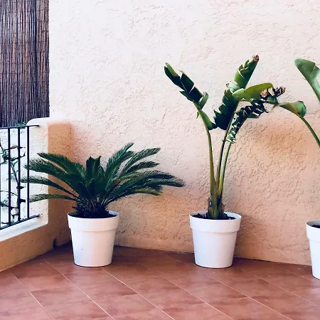 Paipo Appartement